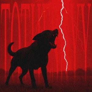 TOTHESKYY (feat. Allude)