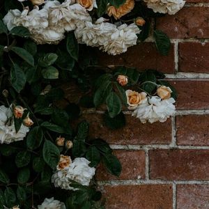 为什么你不爱我