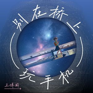 别再桥上玩手机