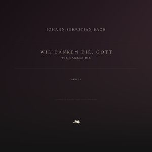 Wir danken Dir, Gott, wir danken Dir, BWV 29: 1. Sinfonia in D Major (Arr. Siloti for Piano)