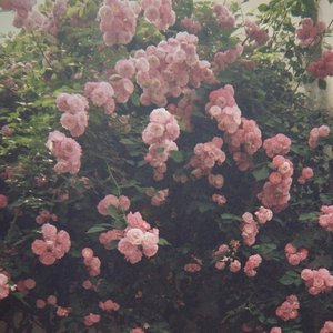 离别太久不适合重逢