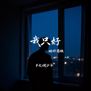 我只好（破碎男版）