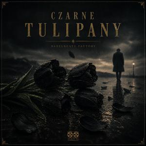 Czarne tulipany