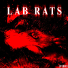 JPEBRO - Lab Rats