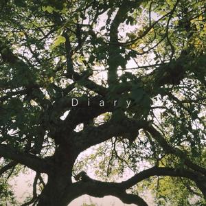 Diary (feat. ナースロボ＿タイプＴ)