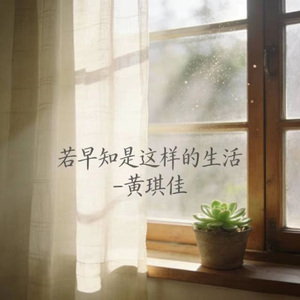 若早知是这样的生活 (DJ版)