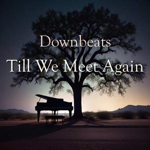 Till We Meet Again