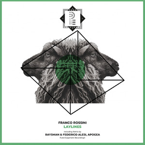 Laylines (RaysMan, Federico Alesi Remix)