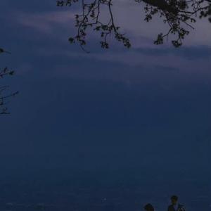 画心(翻自 要不要买菜)