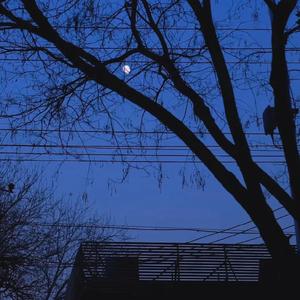 星星永远发着光