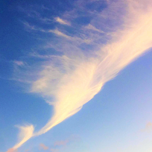 「風は生まれて」愛する人を亡くした人へ捧げる