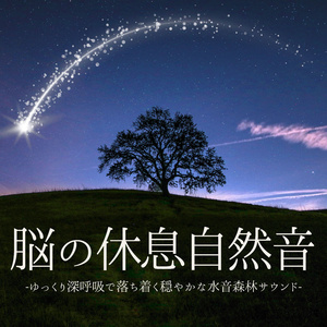 冬の朝霧