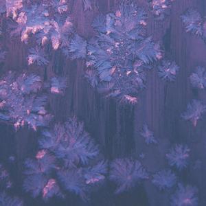 Satie: Gnossienne No. 1