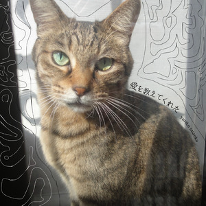 たくさんおしえてくれた