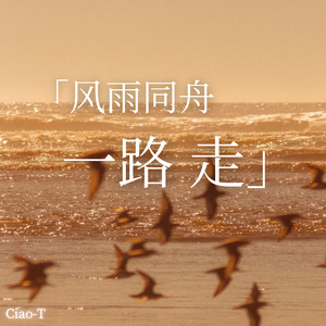 风雨同舟一路走（深情版）