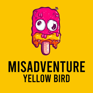 Misadventure