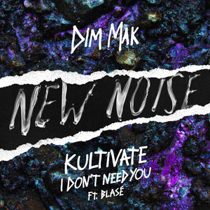 I Don't Need You (Clean Mix)