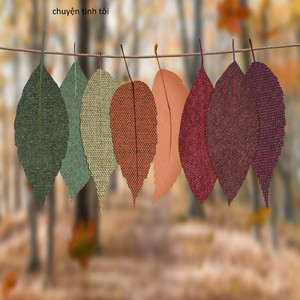 Phi Truong Ngay Anh Di