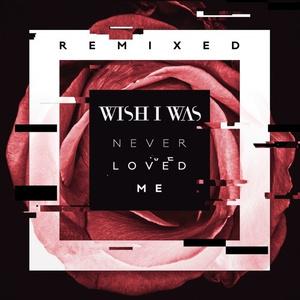 Never Loved Me (FarleyCZ Remix)