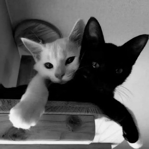 Uniqueness（超燃版）