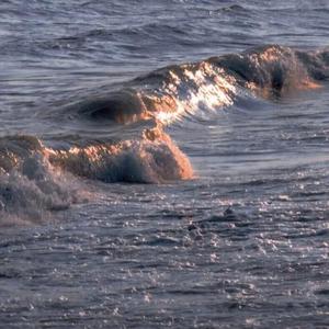 最后的莫西干人