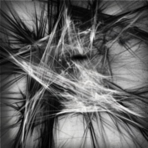 Tell yourself what you want