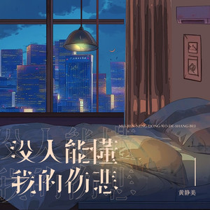 没人能懂我的伤悲