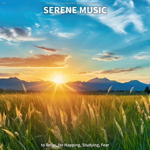 Wonderful Background Sounds for Sleep