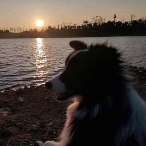 健忘症（Prod.Yn1Jasper）