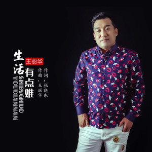 生活有点难 (DJ小鹏版)