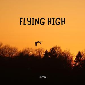 Flying High