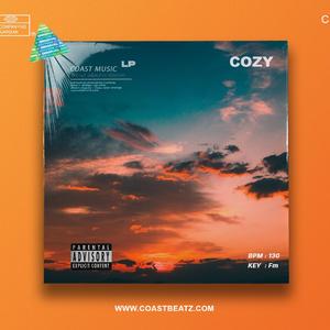 "COZY" R&B Type Beat
