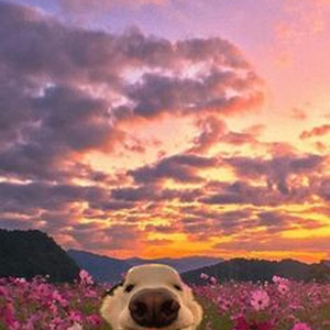 Echoes of the Present (sped up)