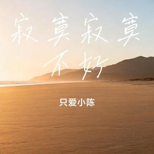 寂寞寂寞不好 (只爱小陈 Remix)