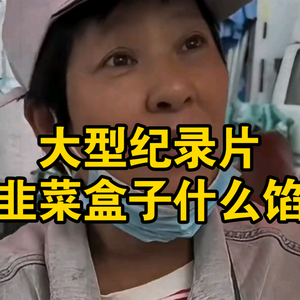 大型纪录片《韭菜盒子什么馅》