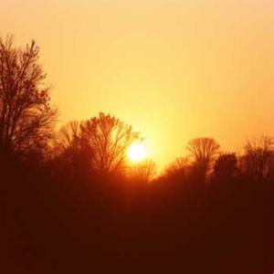 いにしえの調べ