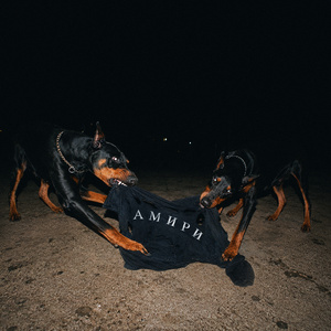 Amiri