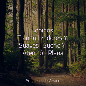 Ecos de la Melancólica Canción del Anochecer