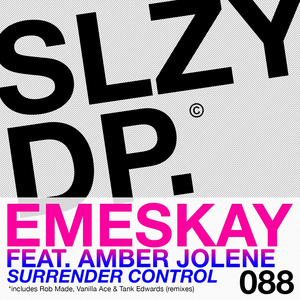 Surrender Control (Tank Edwards Remix)