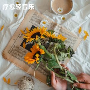 粉色海洋丨治愈放松钢琴曲