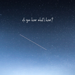 Do You Hear What I Hear