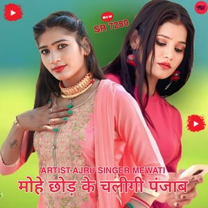 मोहे छोड़ के चलीगी पंजाब (Mewati)