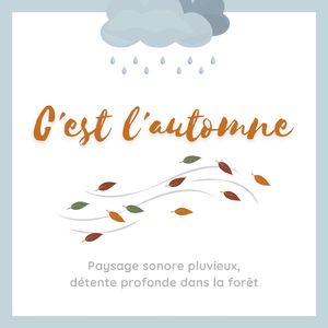 Paysage sonore pluvieux