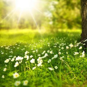 大自然的声音（解压放松的原生态声音）