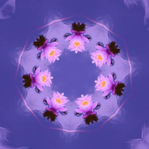 This vibration continues to exist as it births, grows, closes, and destroys