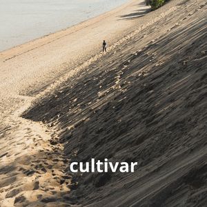 Cultivar