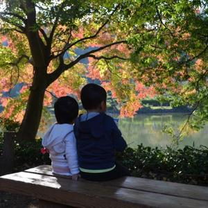 久石譲-风之谷（風の谷のナウシカ）（我爱弹钢琴 remix）