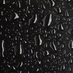 Rain on Glass