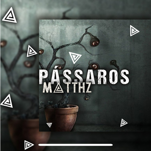 Pássaros