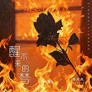 醒不来的梦 (Live版)